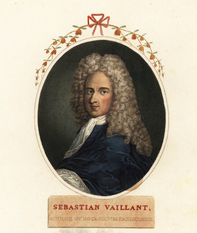 Porträt von Sebastian Vaillant, französischer Botaniker von Claude Aubriet