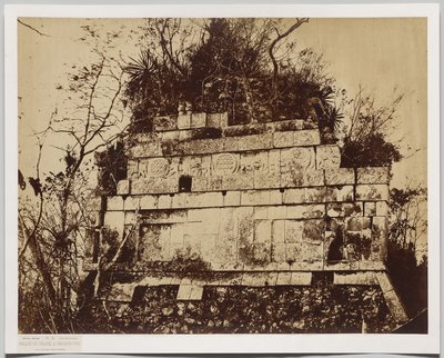 Palast des Zirkus in Chichen-Itza (Basrelief der Tiger) von Claude Joseph Désiré Charnay