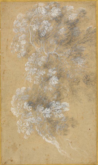 Skizze von Laub und Zweigen von Claude Lorrain