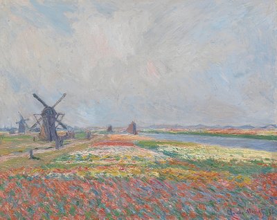 Tulpenfelder in der Nähe von Den Haag von Claude Monet