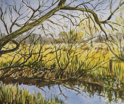 Wasserwiesen, Kintbury, früher Mai-Nachmittag von Clive Wilson