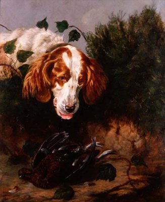 Gerade geschossen - Spaniel mit einem toten Auerhahn von Colin Graeme