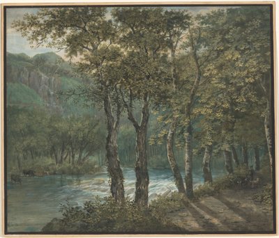 Sonnenlicht, das durch Bäume am Fluss Sihl filtert von Conrad Gessner