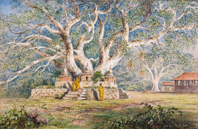 Heiliger Bo-Baum am Begräbnisort der Königinnen von Kandy von Constance Frederica Gordon Cumming