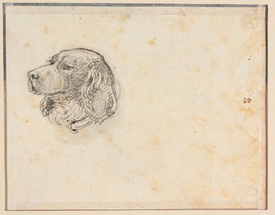 Ein Hundekopf von Constantin Hansen