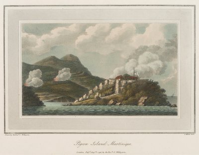 Taubeninsel in Martinique. Lithographie von Reverend Cooper Willyams (1762-1816) von Cooper (after) Willyams