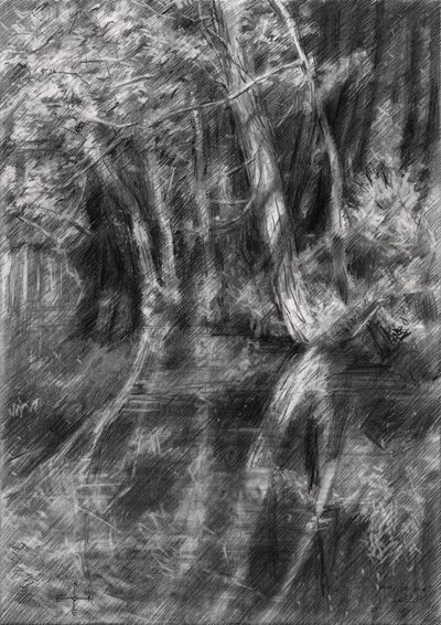 Beschatteter Waldbach von Corné Akkers