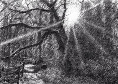 Sonniger Waldweg von Corné Akkers