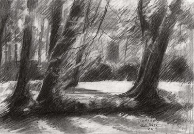 Ruhiger Waldweg von Corné Akkers