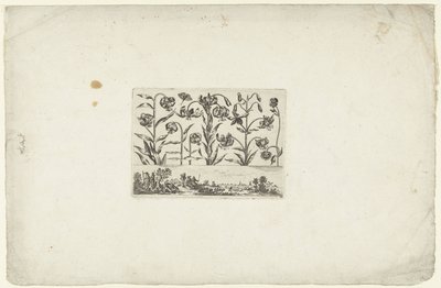 Reihe von Blumen über Landschaft Blumen und Landschaften (Serientitel) von Cornelis Danckerts (I)