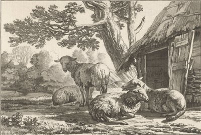 Schafstall von Cornelis Ploos van Amstel (signed by artist)