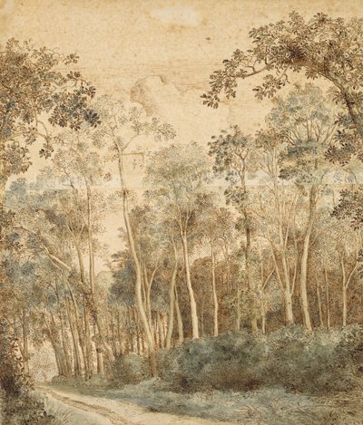Bewaldete Landschaft von Hendrick Cornelisz. Vroom