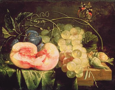 Stillleben mit Früchten, 17. Jahrhundert von Cornelis de Heem