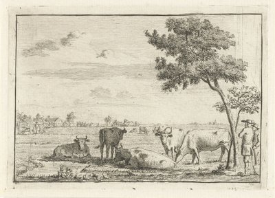 Fünf Kühe auf einer Weide von Cornelis van Noorde