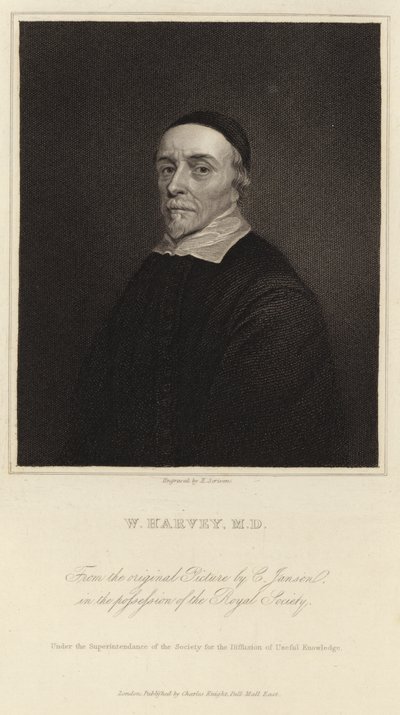 William Harvey von Cornelius Janssen van Ceulen
