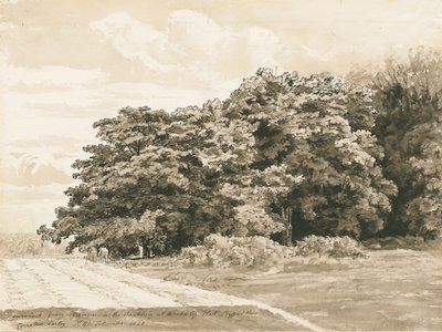 Wrottesley Hall - Der Strauchgarten von Cornelius Varley