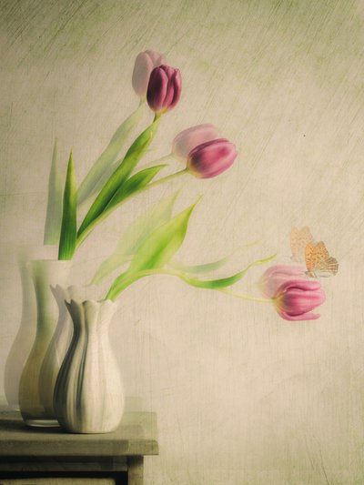 Träumende Tulpen und Schmetterling von Cristiano Giani