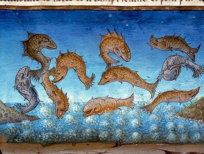 Das Ende der Welt: die Fische werden oben schwimmen von Cristoforo De Predis