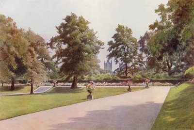 Blick auf Westminster, Marlborough House Garten von Cyril Ward