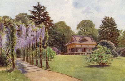 Das japanische Haus und Wistaria Pergola, Bagshot Park von Cyril Ward