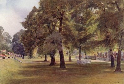 Bäume auf dem Rasen im Marlborough House von Cyril Ward