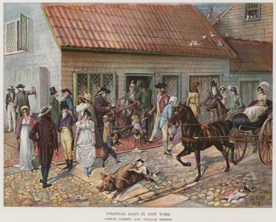 Kolonialzeit in New York von Daniel Carter  Beard