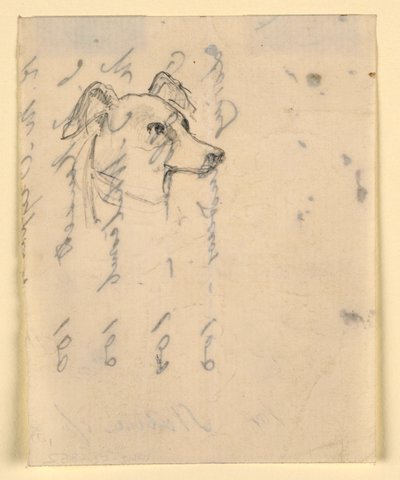 Hundekopf, wahrscheinlich Milo (ein Pointer), ca. 1862 von Daniel Huntington