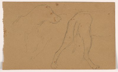 Milo (ein Pointer), Kopf und Körper von Daniel Huntington