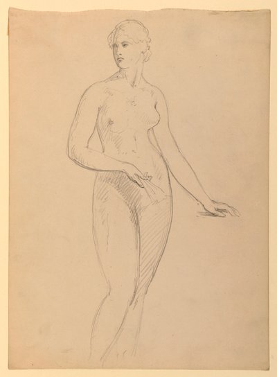 Zeichnung, Frau Henry Schieffelin, S, 1881 von Daniel Huntington