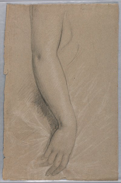 Studie eines Arms für Porträt von Mrs. Rutherford B. Hayes von Daniel Huntington