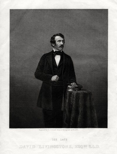 David Livingstone, schottischer Missionar und Afrikaforscher, 1880 von Daniel John Pound