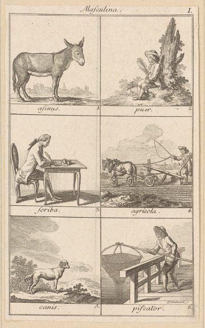 Masculina I von Daniel Nikolaus Chodowiecki