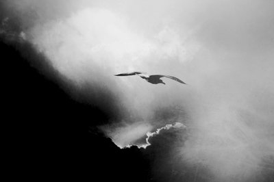 Dramatischer Himmel Flug von Daniela Riegler