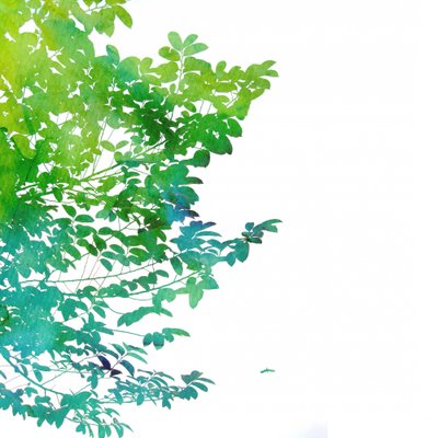 Abstrakte Aquarellblätter von Danushka Abeygoda
