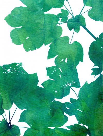 Lebendige Grüne Blätter von Danushka Abeygoda