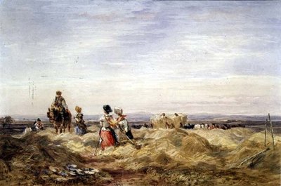 Im Heufeld von David Cox