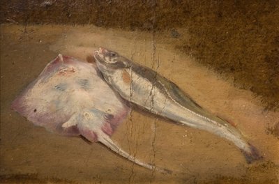 Studie von Fischen - Rochen und Kabeljau von David Cox the elder