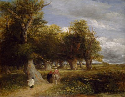 Die Ränder des Waldes, 1856 von David Cox the elder