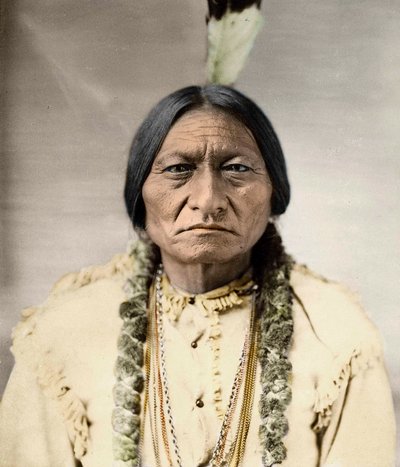 Sitting Bull, Häuptling der nordamerikanischen Ureinwohner von David Frances Barry