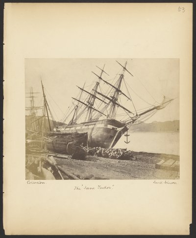 Die "Jane Tudor" von David Johnson