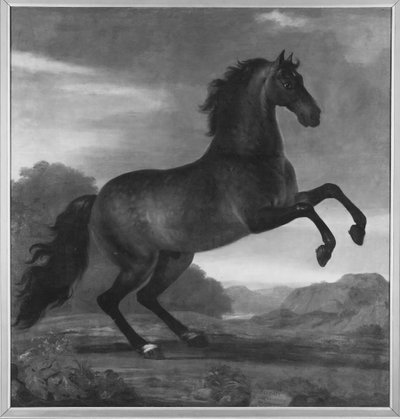 Karl XI:s Lieblingspferd Favorit Hispanicus von David Klöcker Ehrenstrahl