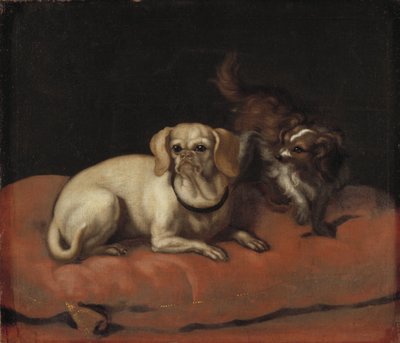 Zwei Hunde von David Klöcker Ehrenstrahl