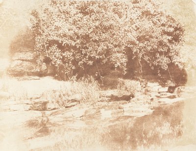 Burnside, Fife Insel im Almond River, 1843-47 von Hill and Adamson