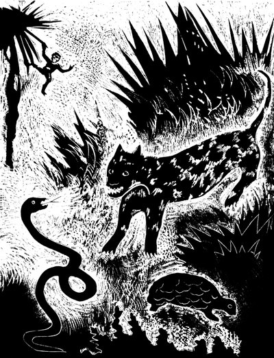 Illustration aus dem Buch 