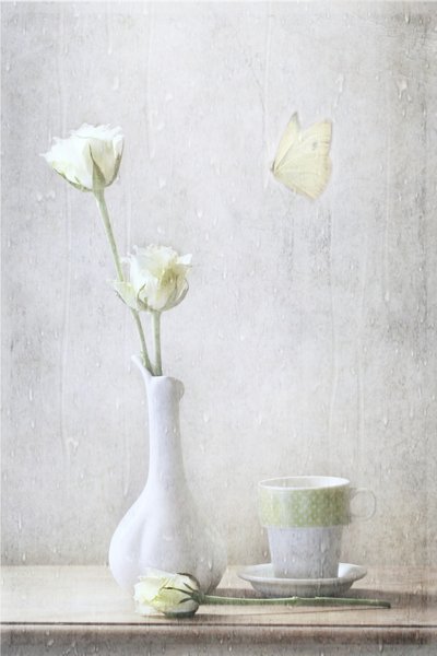 Zarte Rosen und Schmetterling von Delphine Devos