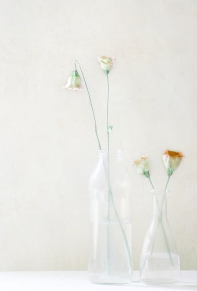 Blasse Blüten im Glas von Delphine Devos