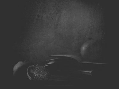 Granatäpfel im Schatten von Delphine Devos