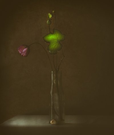 Stille Blüte und Blatt von Delphine Devos