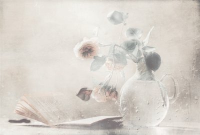 Sanfte Rosen Offenes Buch von Delphine Devos