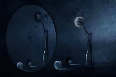 Blaue Distelreflexion von Desislava Ignatova